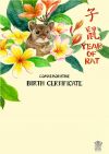 Year of the Rat