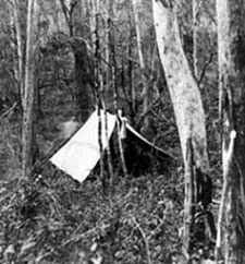Surveyor HA Love\'s flying camp around 1900