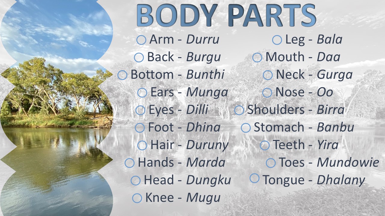 Gunggari language dictionary list of body parts