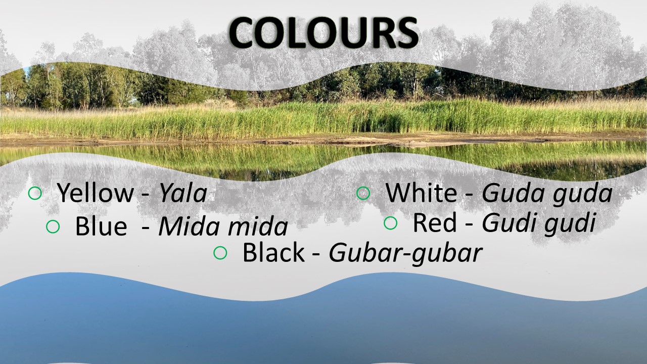 Gunggari language dictionary list of colours