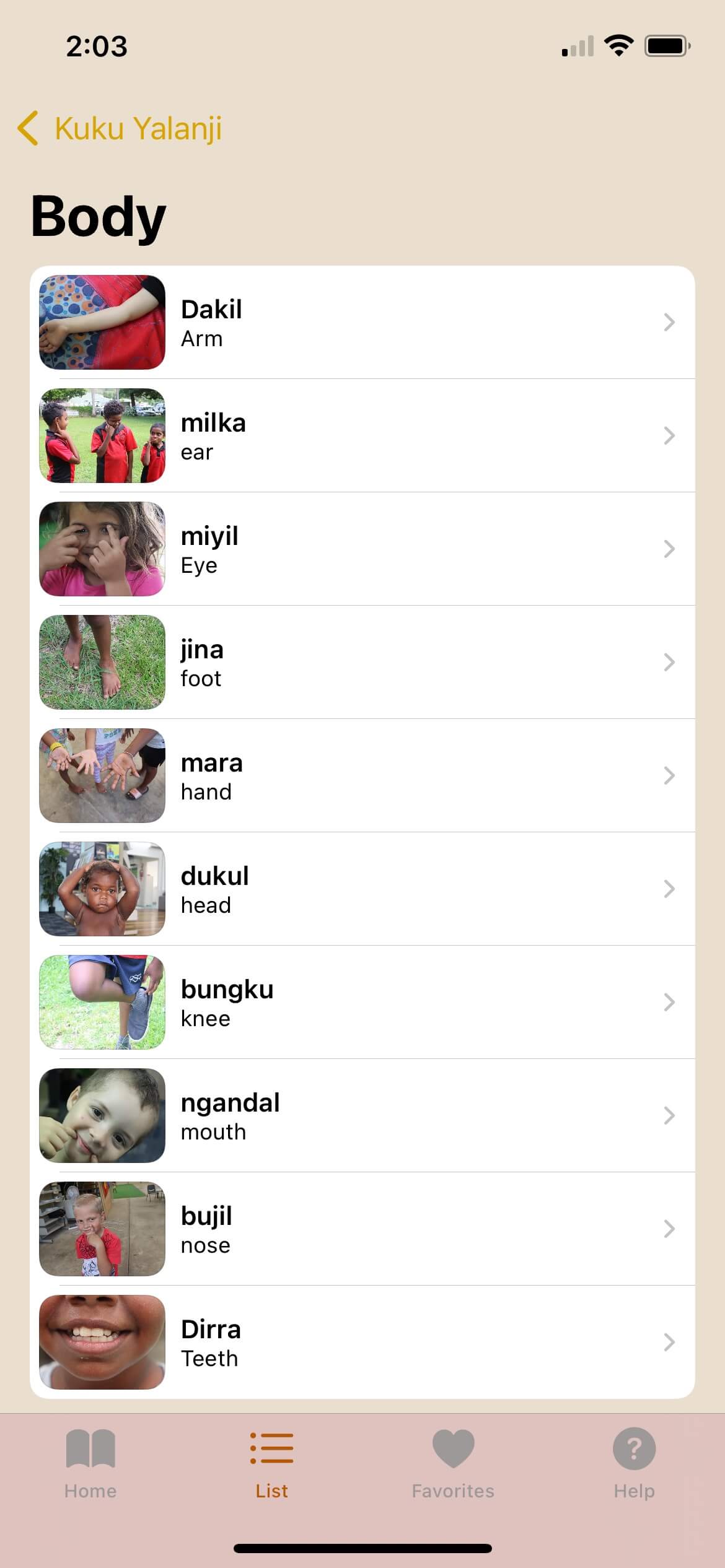 List of Kuku Yalanji words for body parts displayed on language app