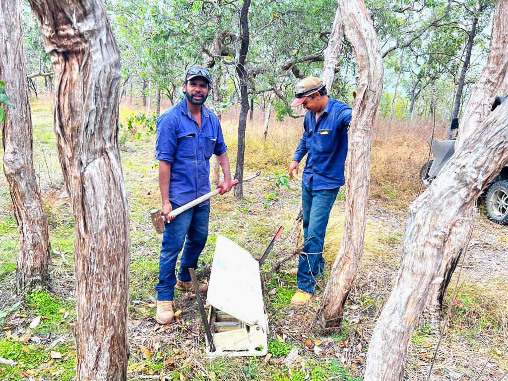 Olkola Rangers setting up a Hoggone pig management station