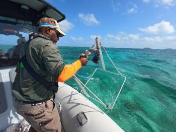 Ranger deploying a quadrat into shallow waters over the side of the vessel