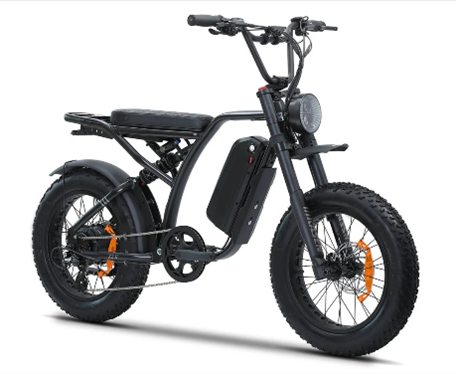 What a electric bike that can do 750 watts, 45km/h, throttle controlled looks like