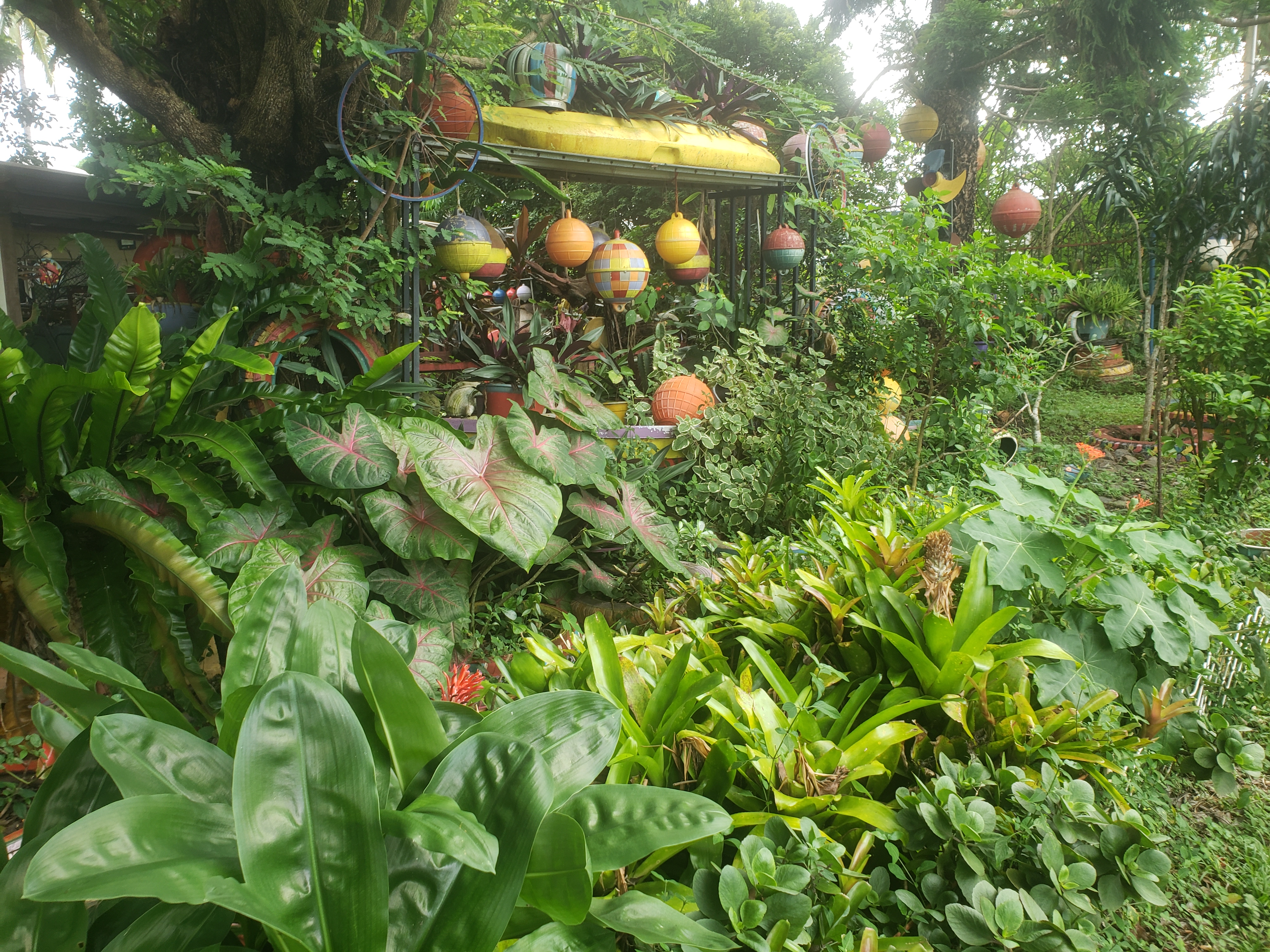full garden