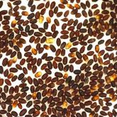 Brown, oval balls