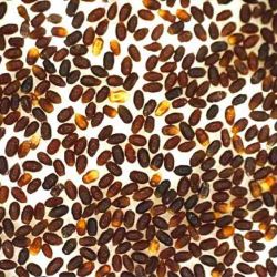 Brown, oval balls