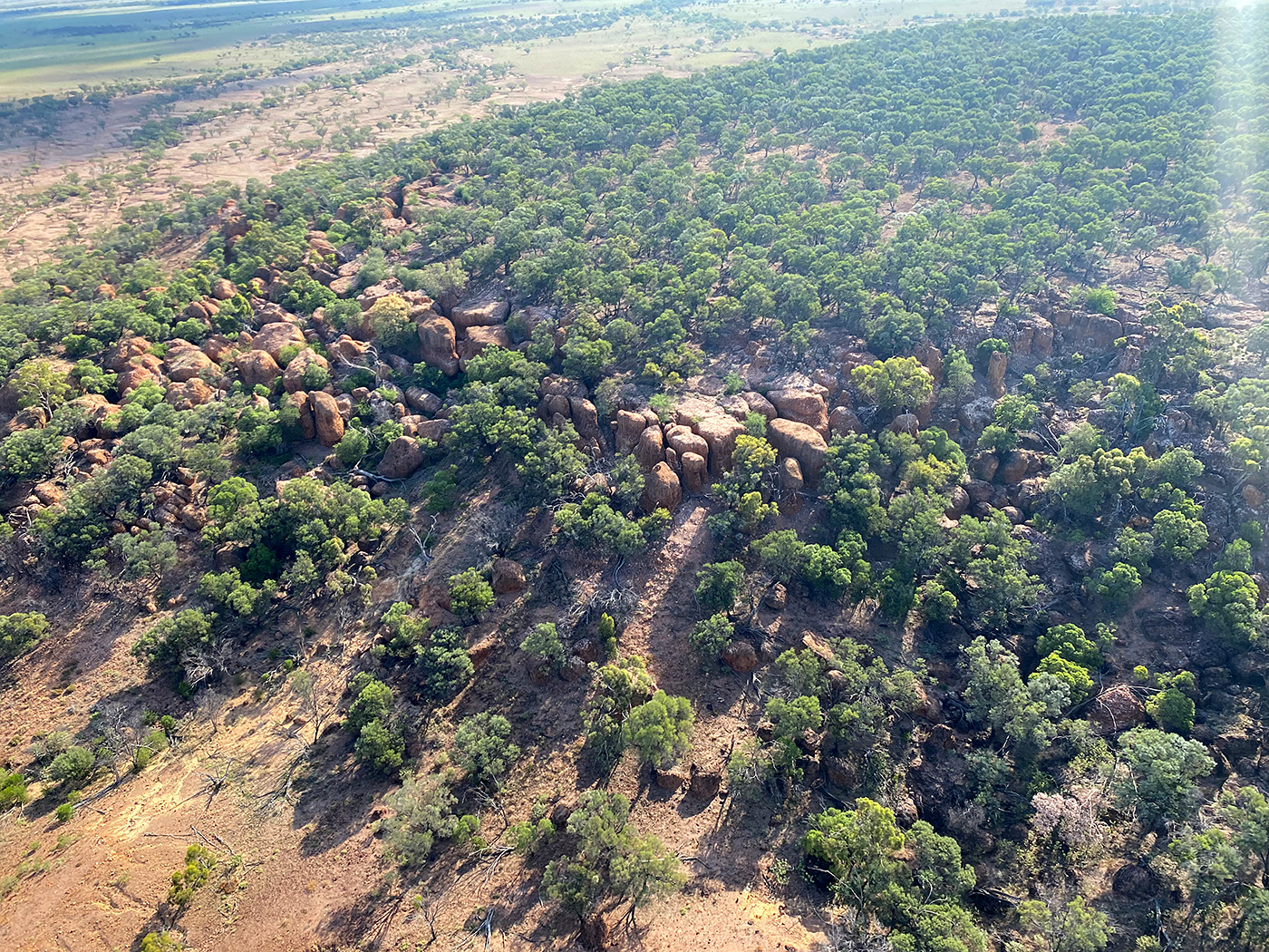 Photo of Melrose Station, Western Queensland