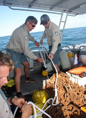 Image of QPWS Rangers setting up the equipment for smooth deployment at Wolf Rock site.
