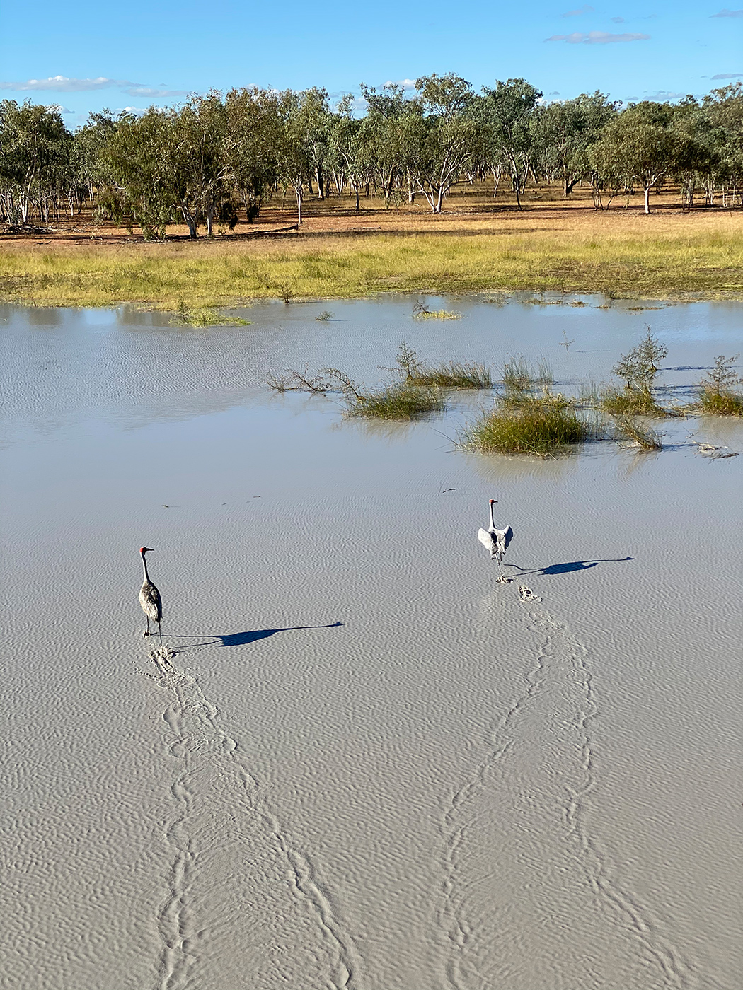 Photo of The Lakes, North Queensland