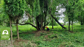 Photo of Teviot Brook