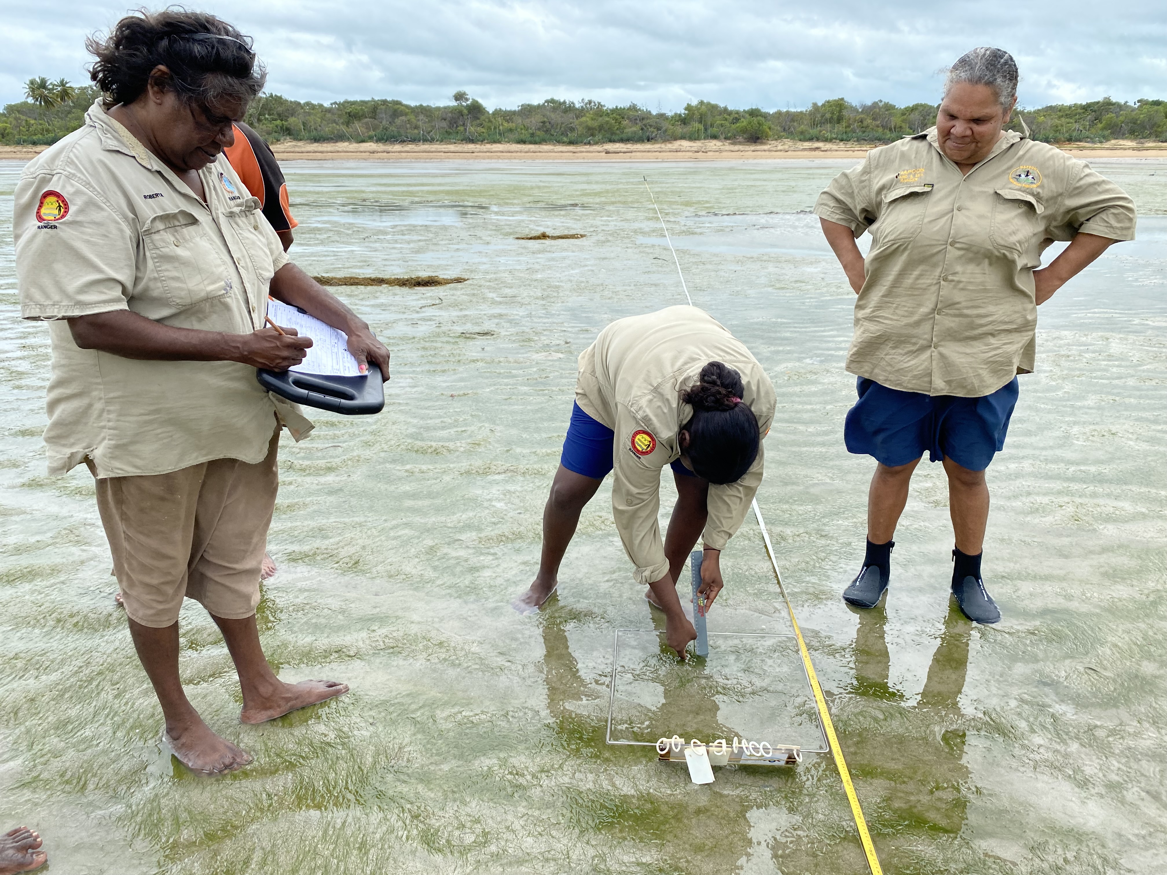Mapoon rangers undertaking seagrass surveys