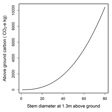 A graph showing a \'general\' relationship between above-ground carbon storage and tree size for woodland eucalypts