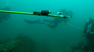 Image of looking for a suitable shark to tag with the Hawaiian Sling ready.