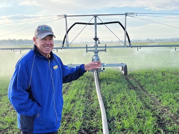 Greg and Wayne Lester installed a hard-nose irrigation system to water their crops more efficiently Farmer standing in fiend crop with machinery in background