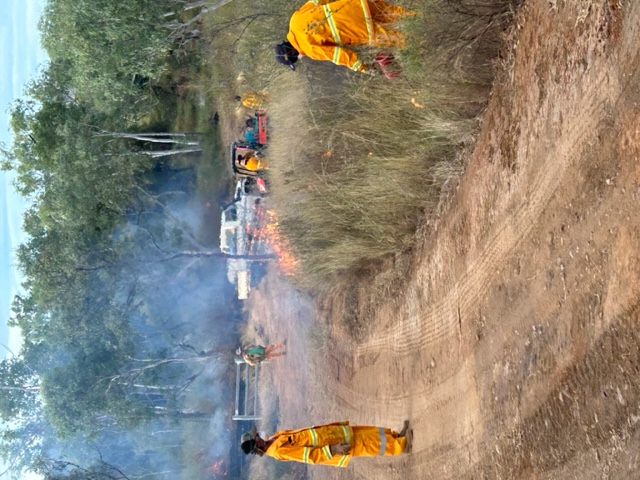 Rangers in high visibility jackets monitoring small cool fire along roadside