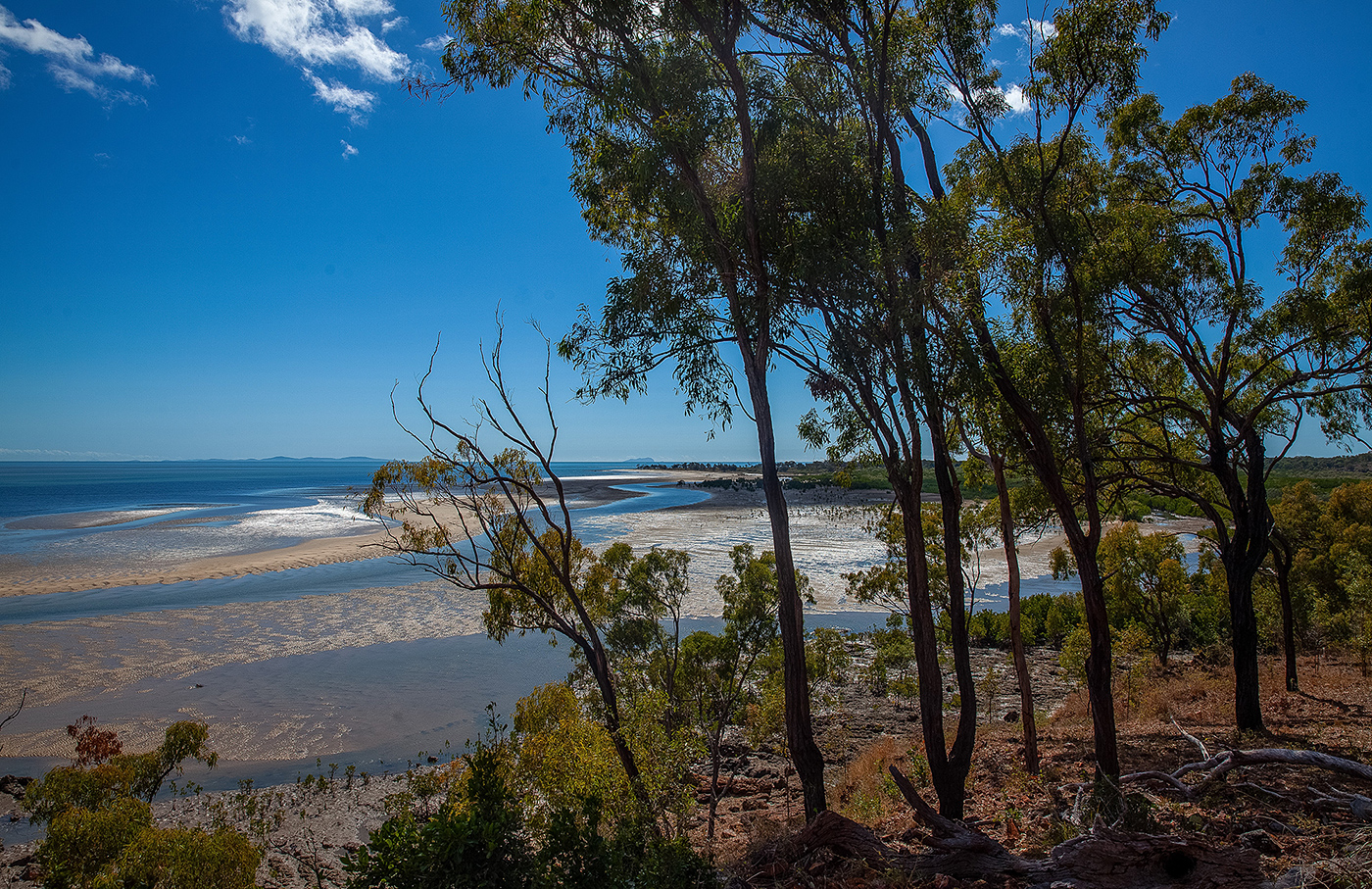 Photo of Spadely Station, Curtis Island