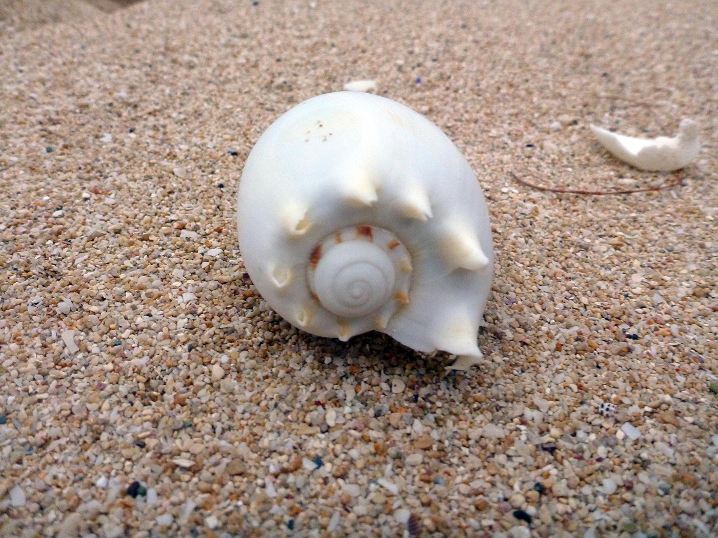 Photo of Great Barrier Reef Island Arks