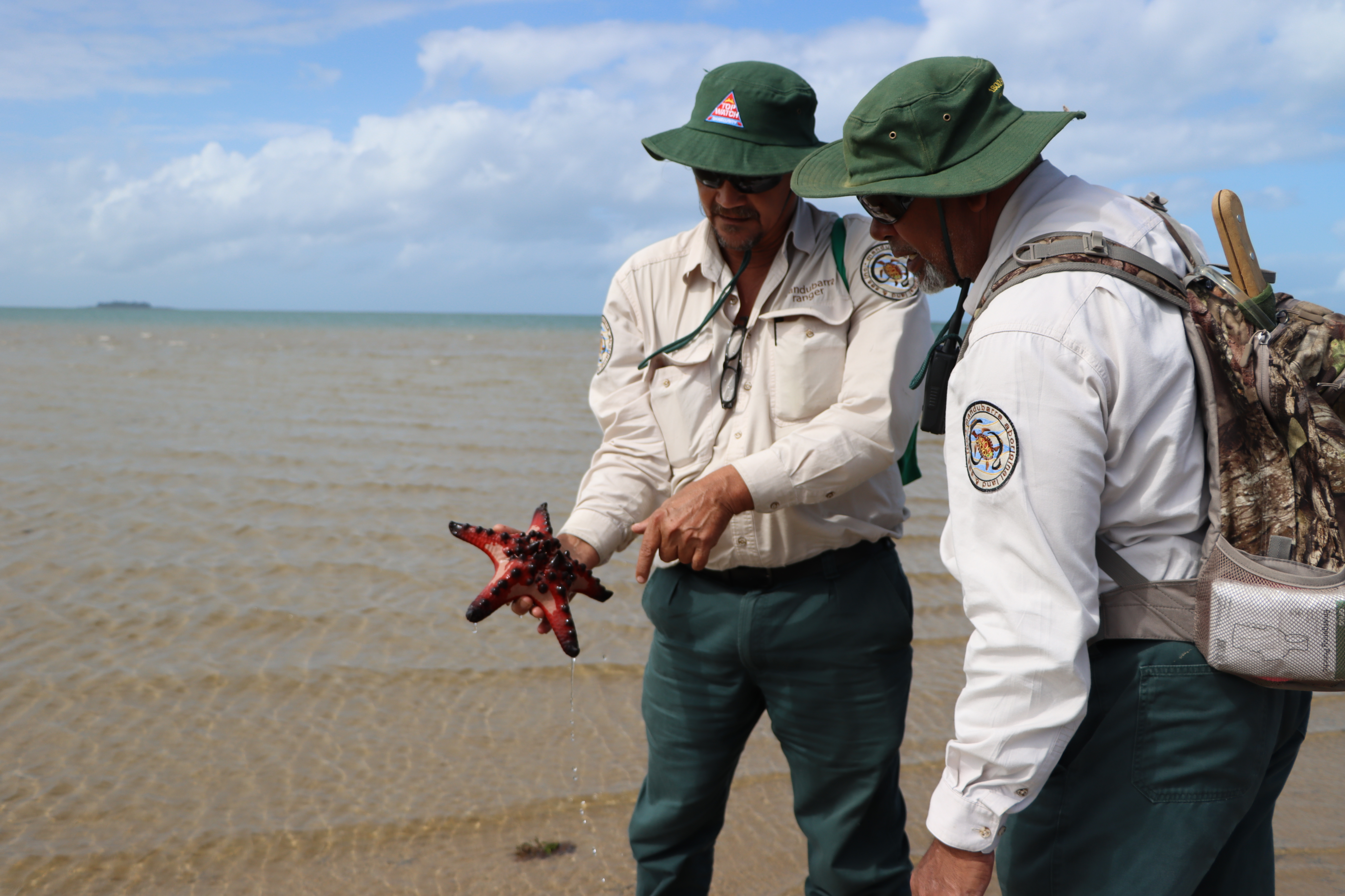 Mandubarra rangers checking cultural indicator, knobbly seastar