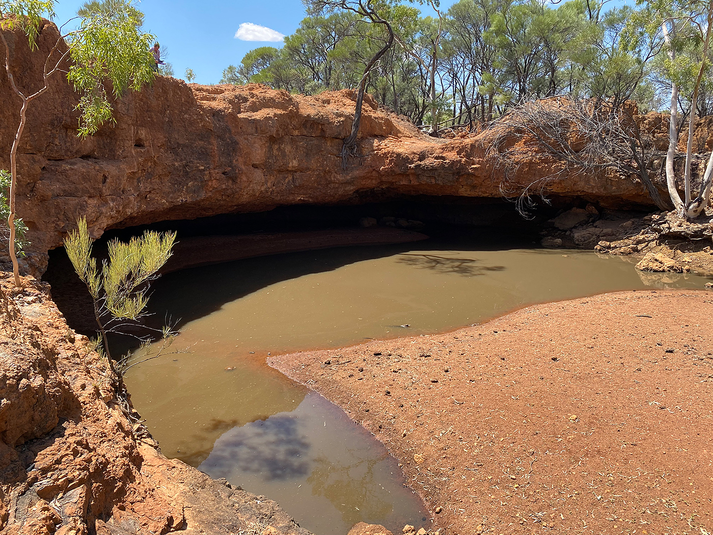 Photo of Tonkoro Station, Western Queensland