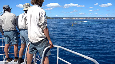 Image of range testing of receivers and equipment underway at Wolf Rock site, with Rainbow Beach coloured sands in the background.
