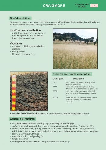 Example of soil sheet in land management manual