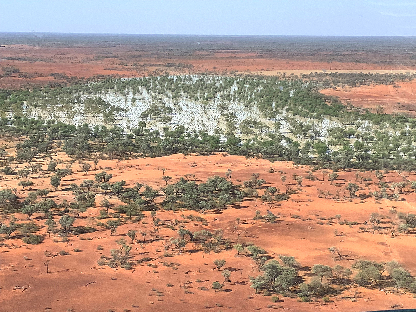 Photo of Tonkoro Station, Western Queensland