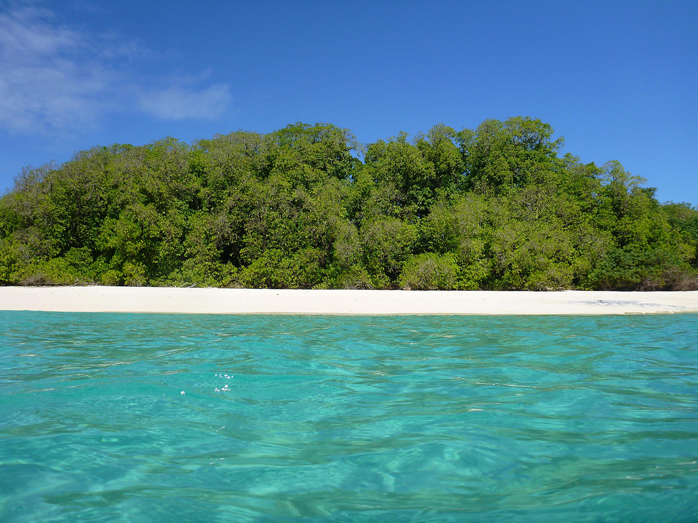 Photo of Great Barrier Reef Island Arks