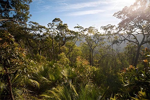 Mount Archer National Park