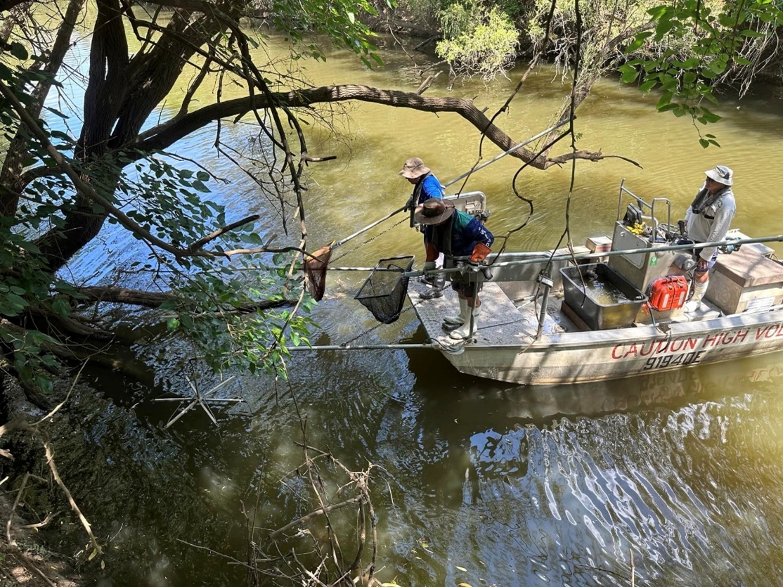 Photo of in-water sampling