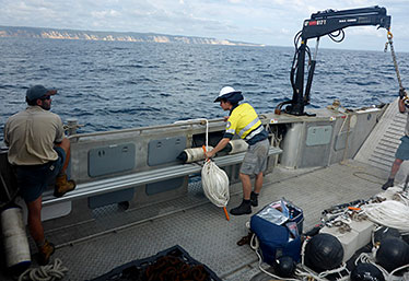 Image of cement blocks and receivers ready to be deployed at Wolf Rock.