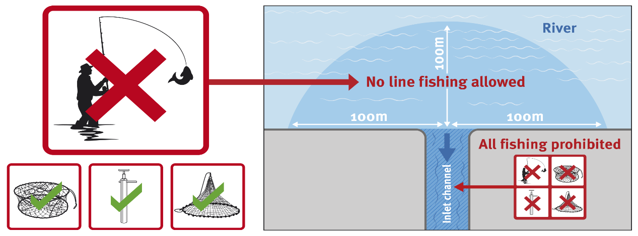 White spot disease fishing restrictions All fishing is prohibited in prawn farm inlet channels. Within 100m radius of the start of the inlet channel, using cast nets, crab pots and yabby pumps is allowed but line fishing is not.