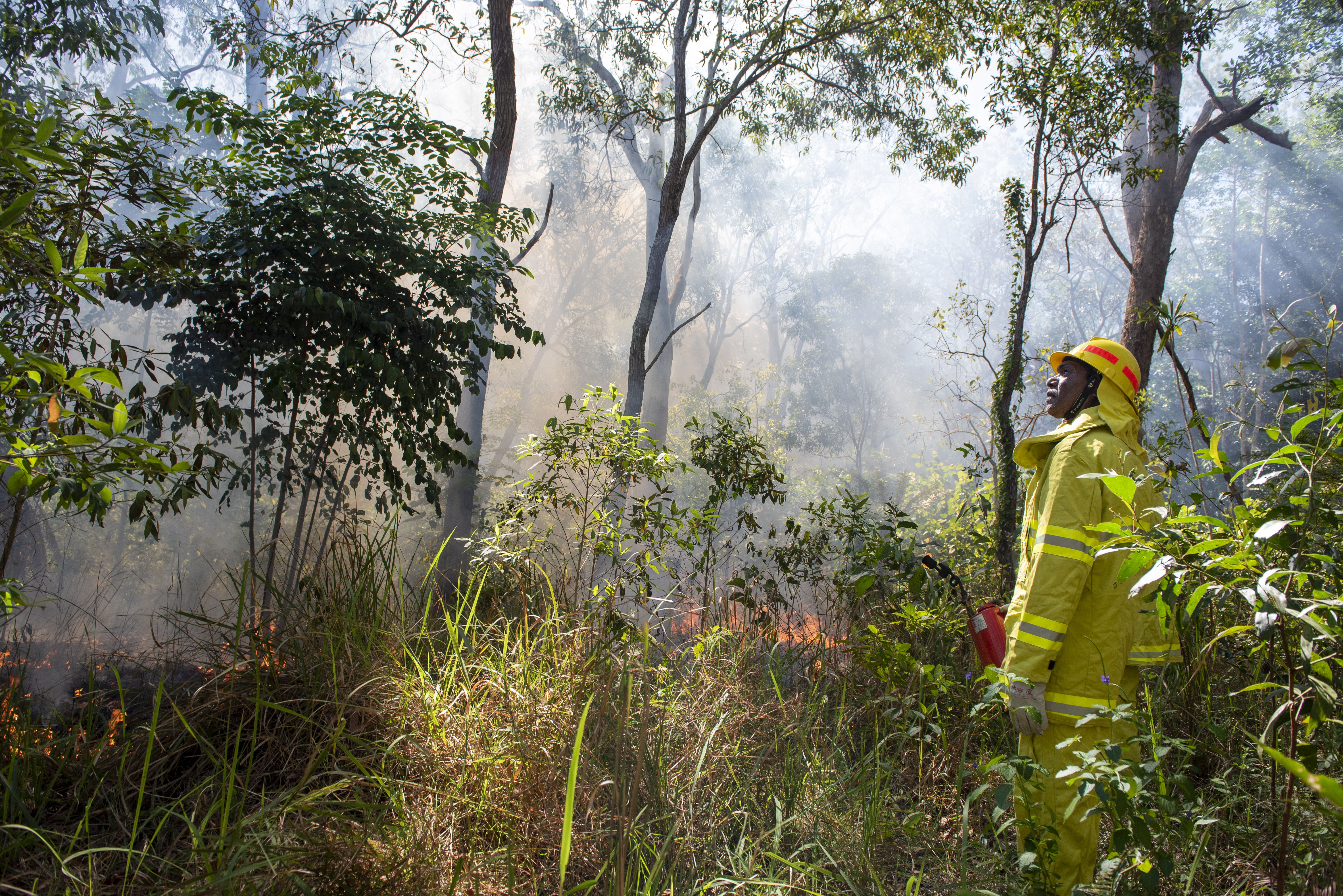 Project: Creating a Sustainable Environmental Economy. Wet Tropics Management Authority.
