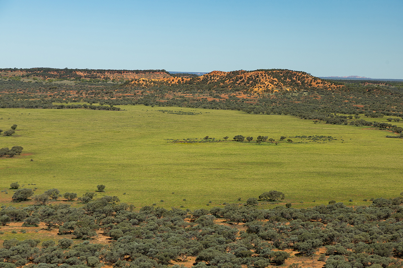Photo of Vergemont Station, Western Queensland