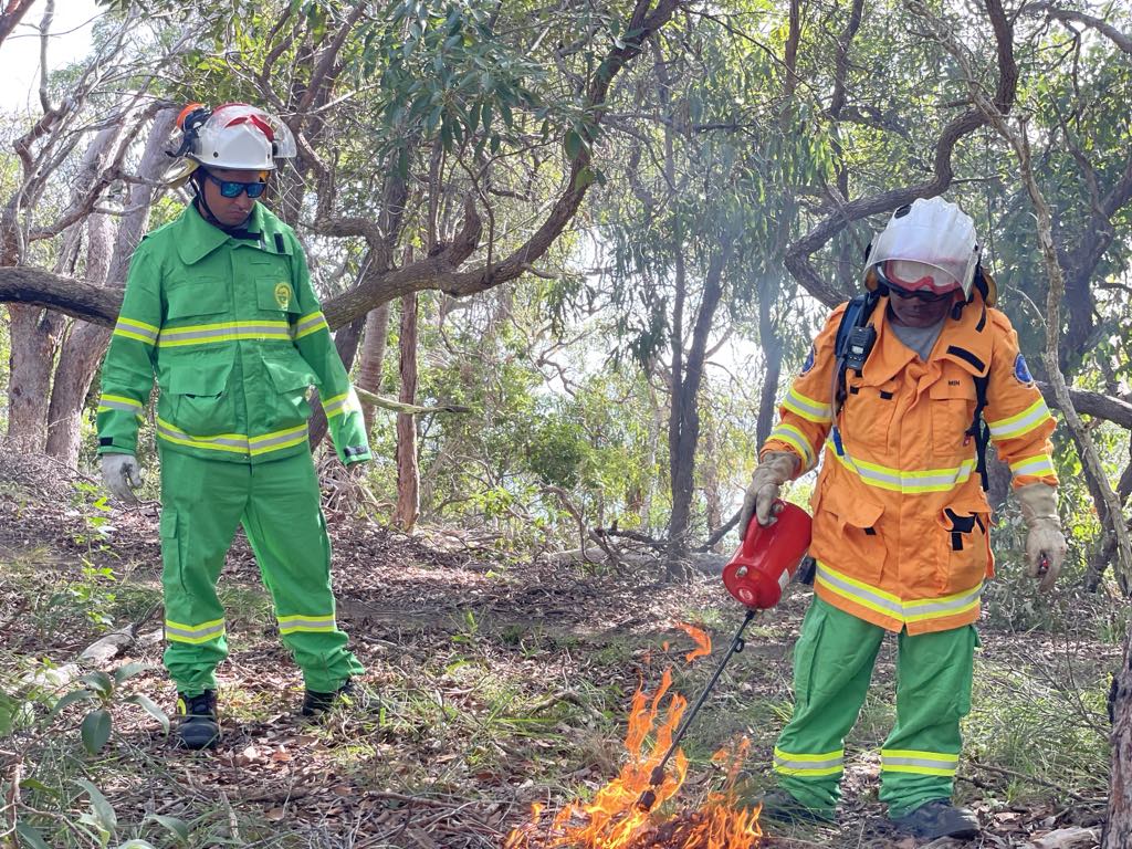 Woppaburra Rangers undertaking fire management