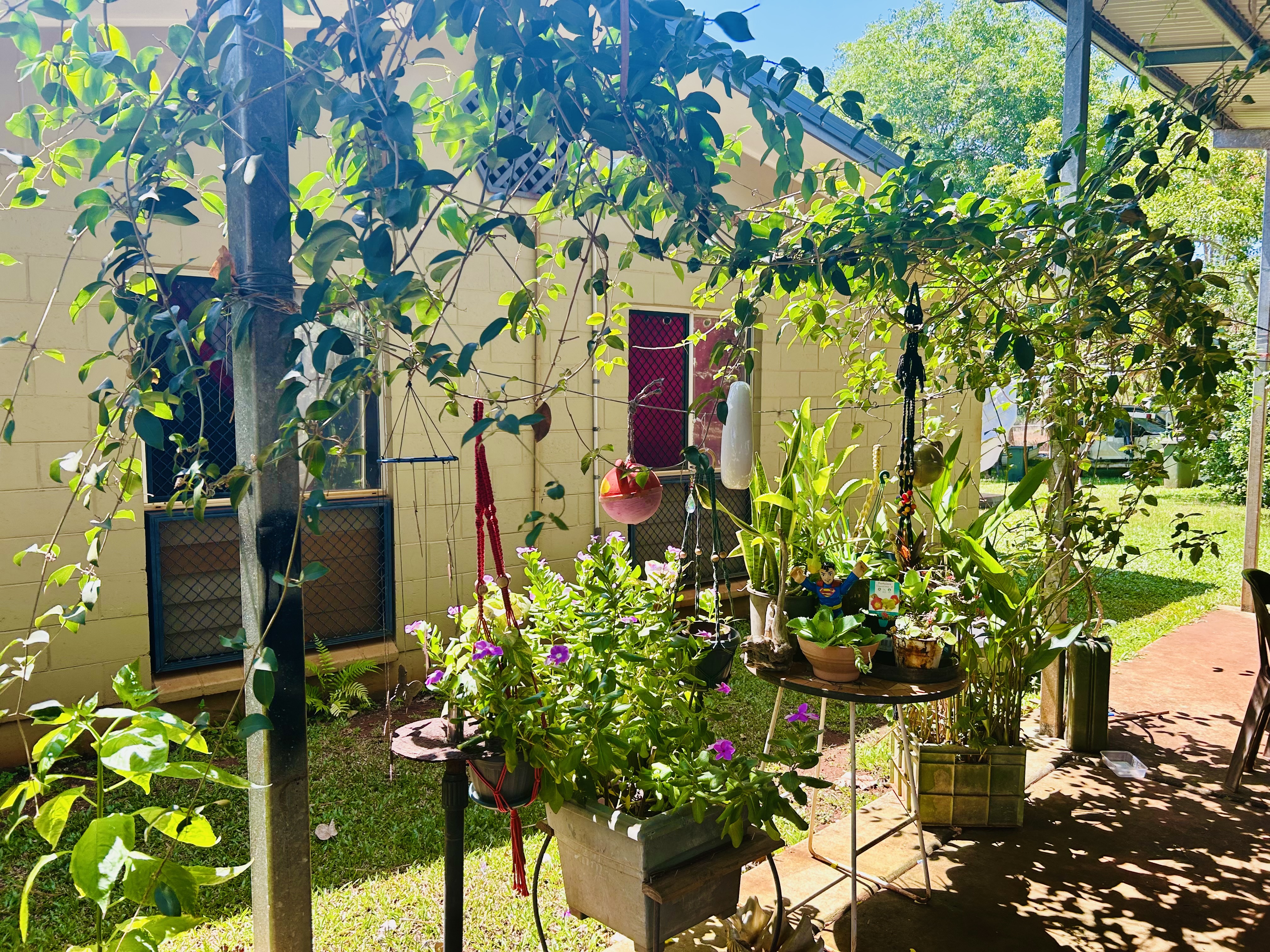 vertical garden