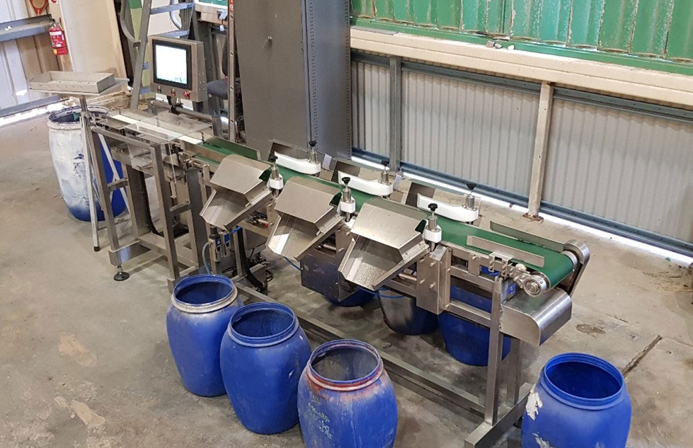 Weigh belt sorting machine