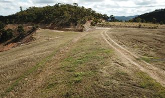 View of the revegetated stockpile