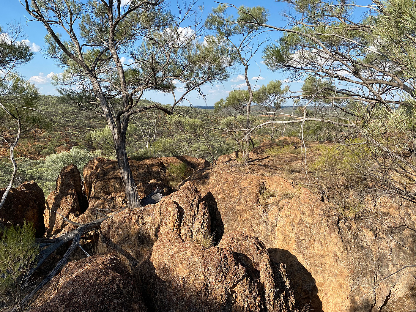 Photo of Melrose Station, Western Queensland