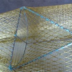 Image of fisheye bycatch reduction device