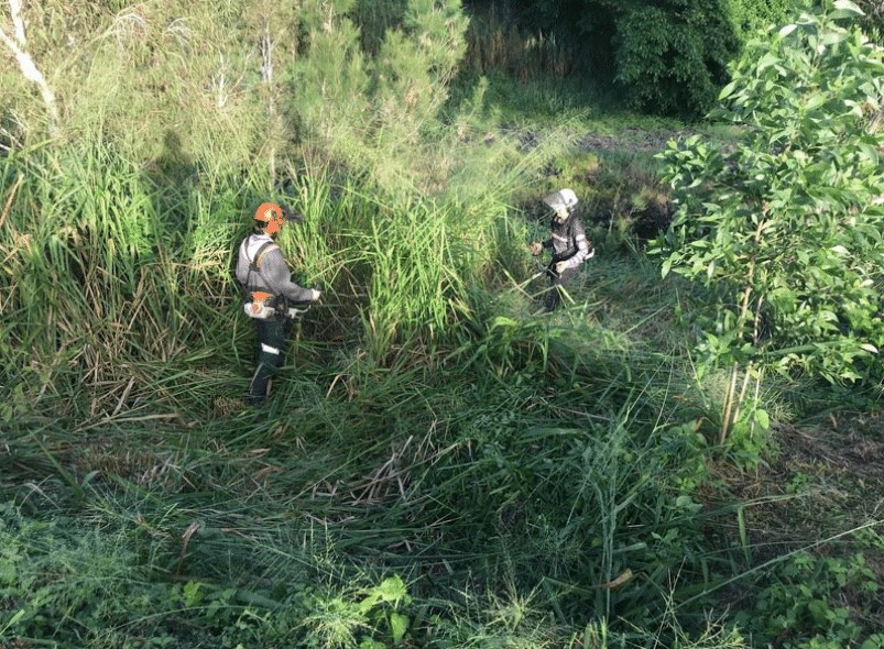 Project: Leading Economic Stimulus Through Land Management Action. Reef Catchments NRM.