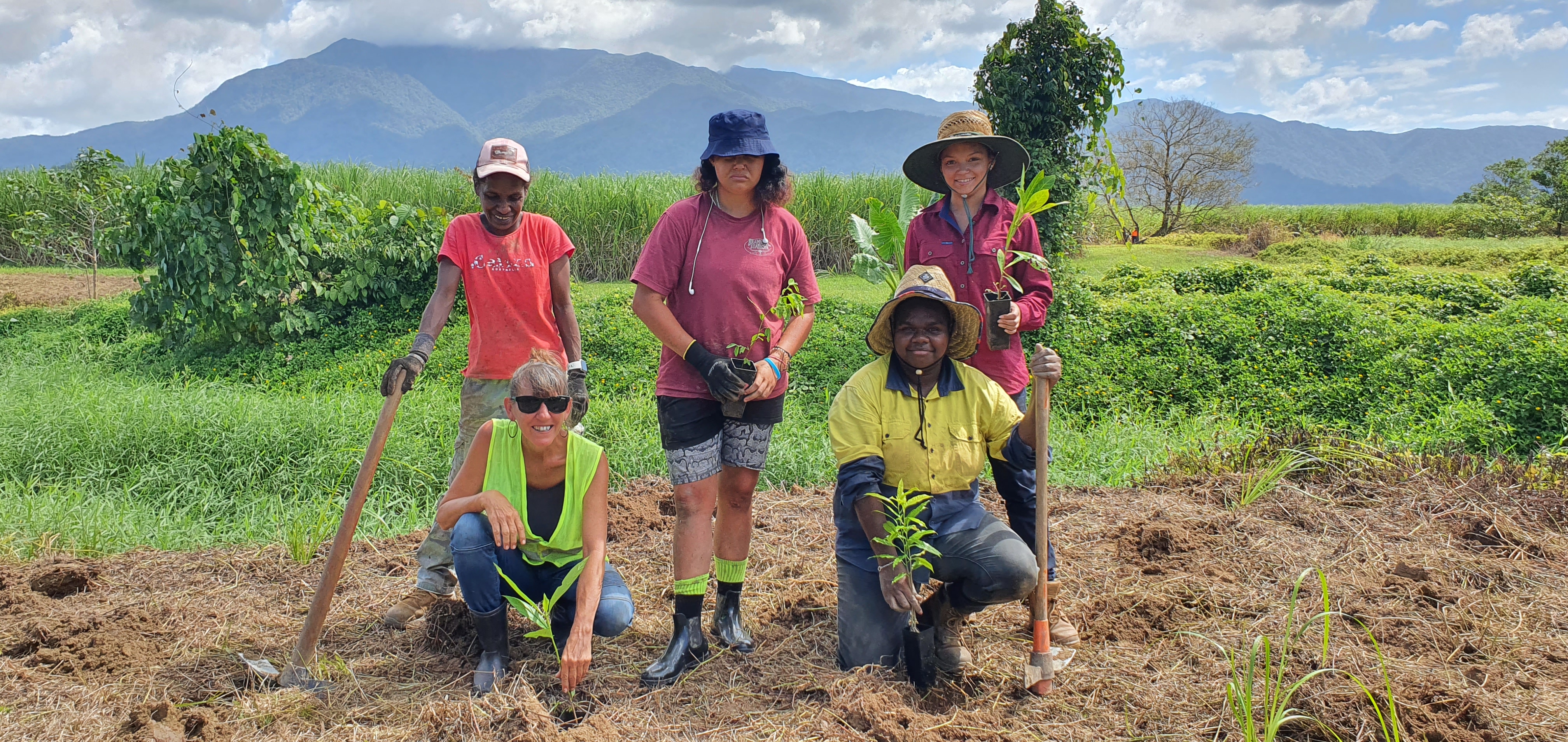 Project Riparian Revegetation – Johnstone, Murray and Russel Catchments. Terrain NRM.