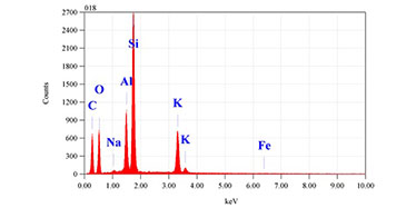 Image of the X-ray spectrum of a dust particle
