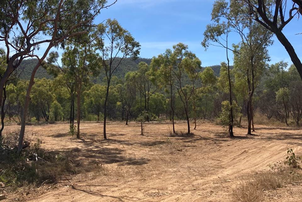 Lightly treed Jumna site following clean-up