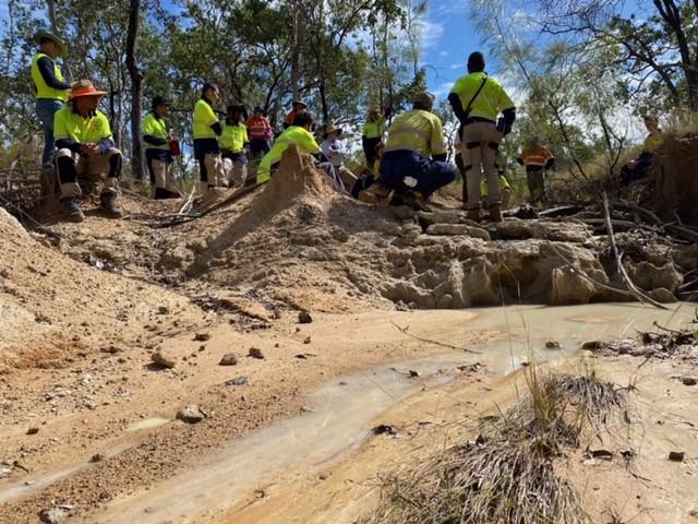 Project: Business Activation and Environmental Restoration. Townsville City Council.