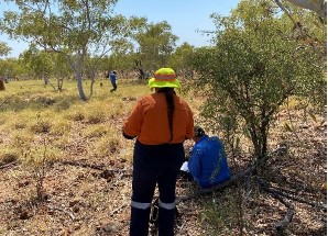 Rangers in spinifex country using monitoring equipment.