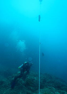 Image of diver swimming past the receiver.
