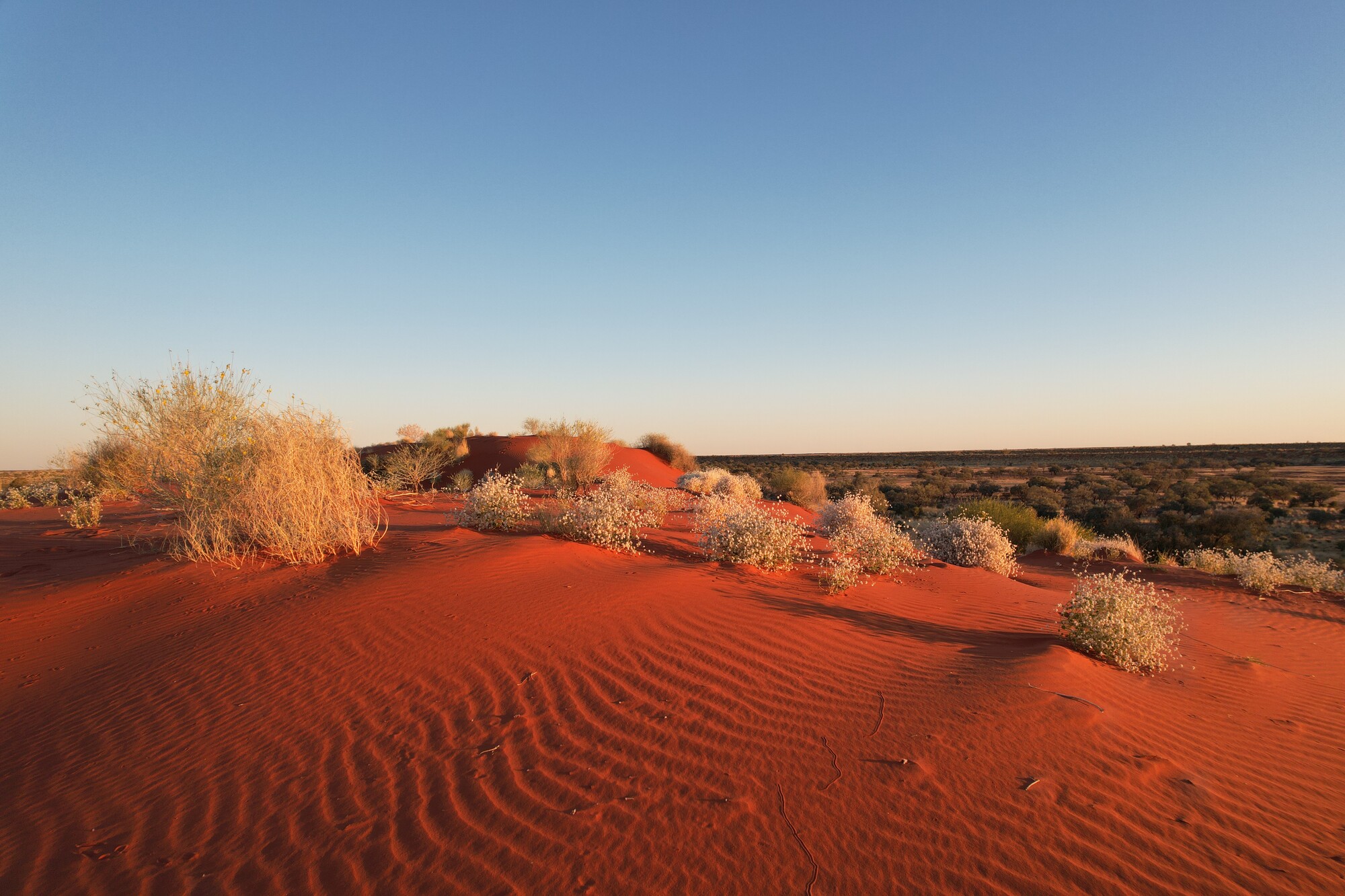 Photo of Pilungah sand dunes. Image credit: Ingo Schomacker.